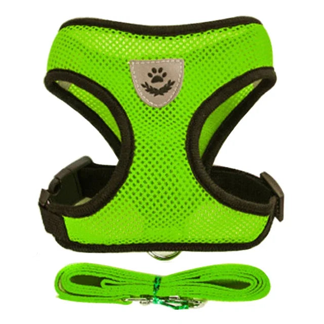 Adjustable Mesh Pet Harness & Leash Set – Comfortable Walking Vest for Cats & Small Dogs
