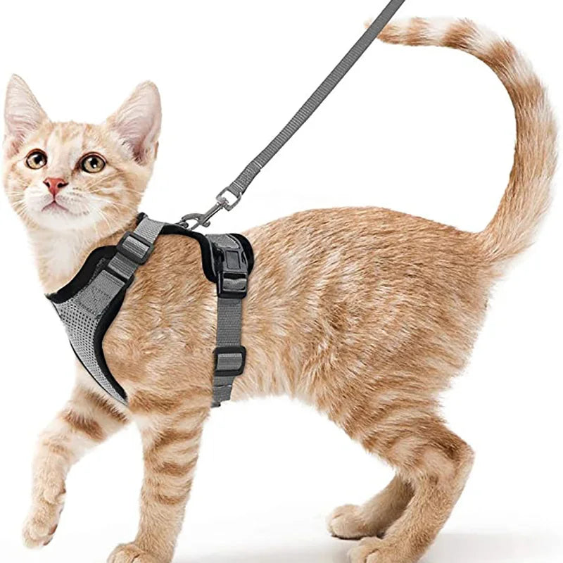 Cat Harness & Leash Set – Escape-Proof Soft Adjustable Vest for Walking