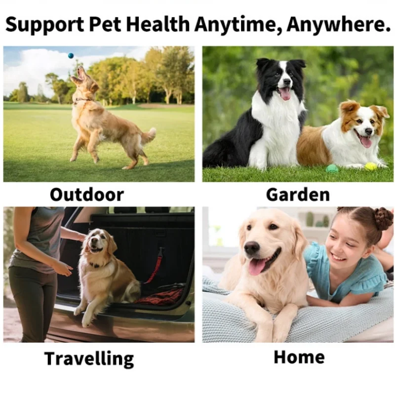 مناديل تنظيف عيون الحيوانات الأليفة - مناديل مبللة لطيفة لإزالة بقع الدموع للقطط والكلاب