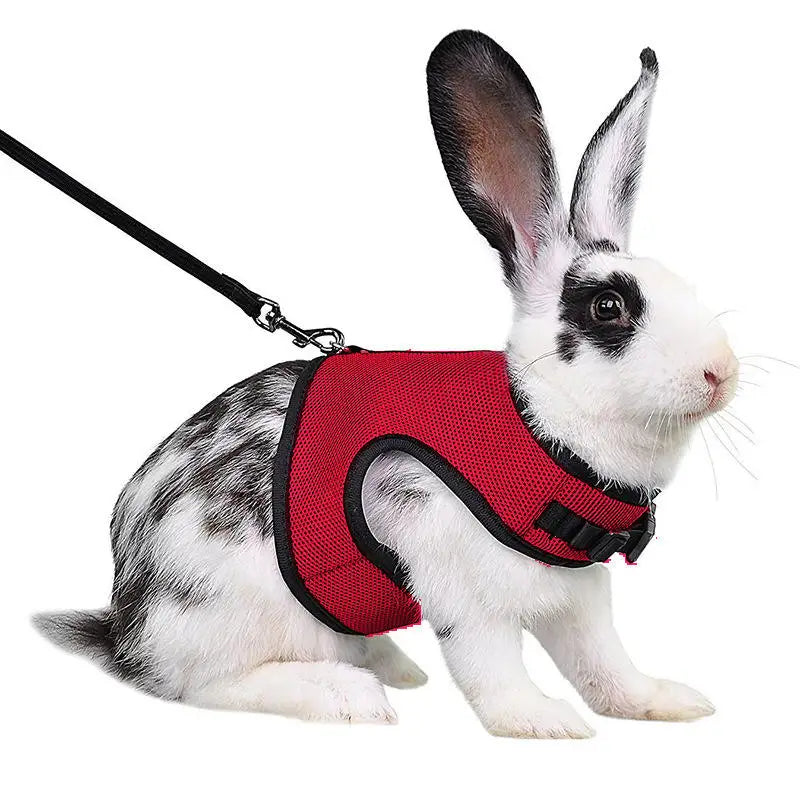 Rabbit Harness and Leash Set – Breathable Adjustable Pet Vest Carrier for Small Animals