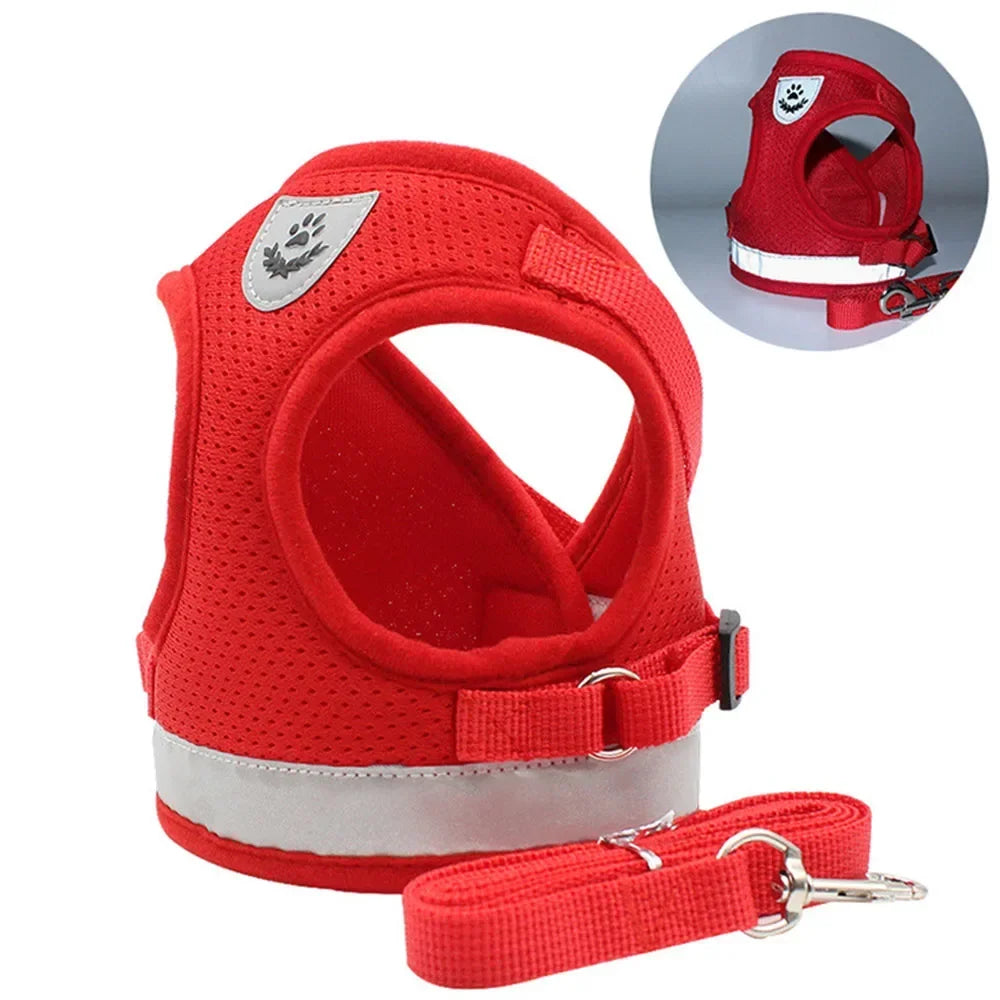 Cat & Small Dog Harness Leash Set – Reflective Escape-Proof Adjustable Vest