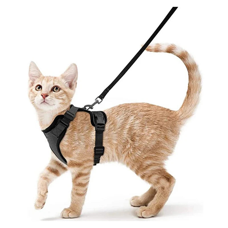Cat Harness & Leash Set – Escape-Proof Soft Adjustable Vest for Walking