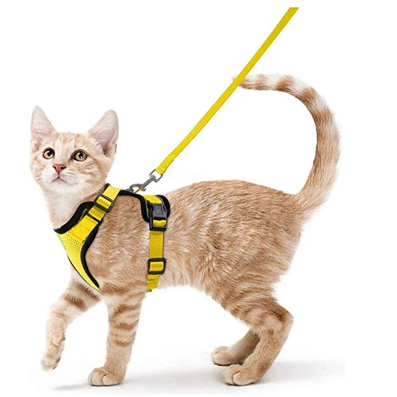 Cat Harness & Leash Set – Escape-Proof Soft Adjustable Vest for Walking