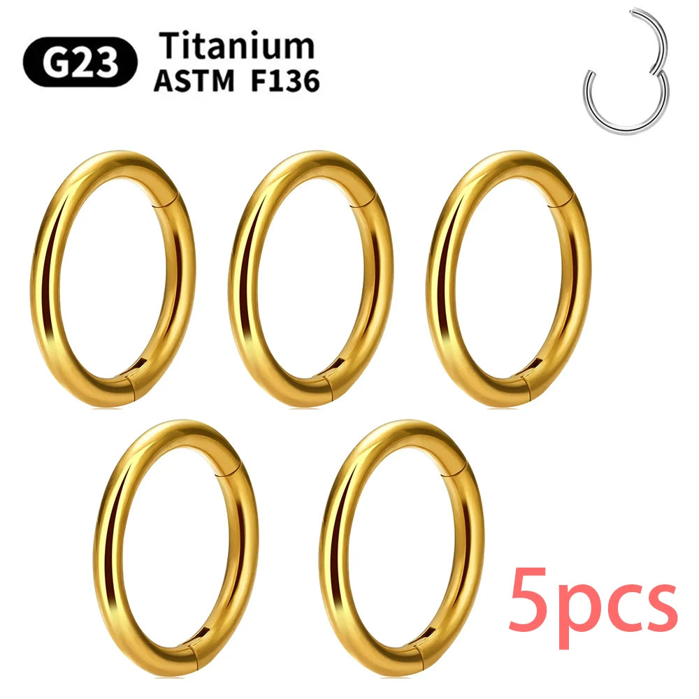 1/5Pcs Nose Rings & Lip Rings | G23 Titanium Piercing Jewelry for Women | Mixed Color Hoop Earrings & Body Clips Hinged